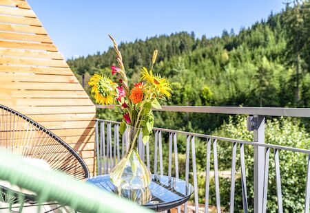 Stuub Langenbach Deluxe Studio Balkon Aussicht Mood