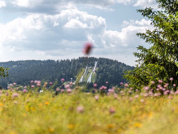 Stuub Hinterzarten Familienzimmerl Balkon Aussicht