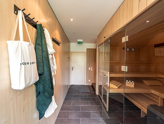Stuub Hinterzarten Sauna 8