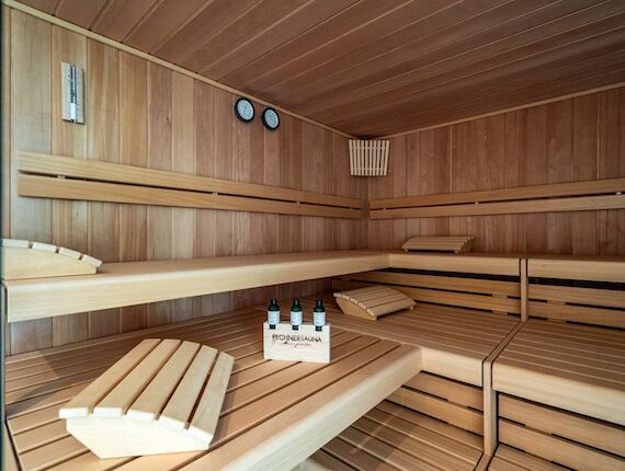 Stuub Hinterzarten Sauna 2